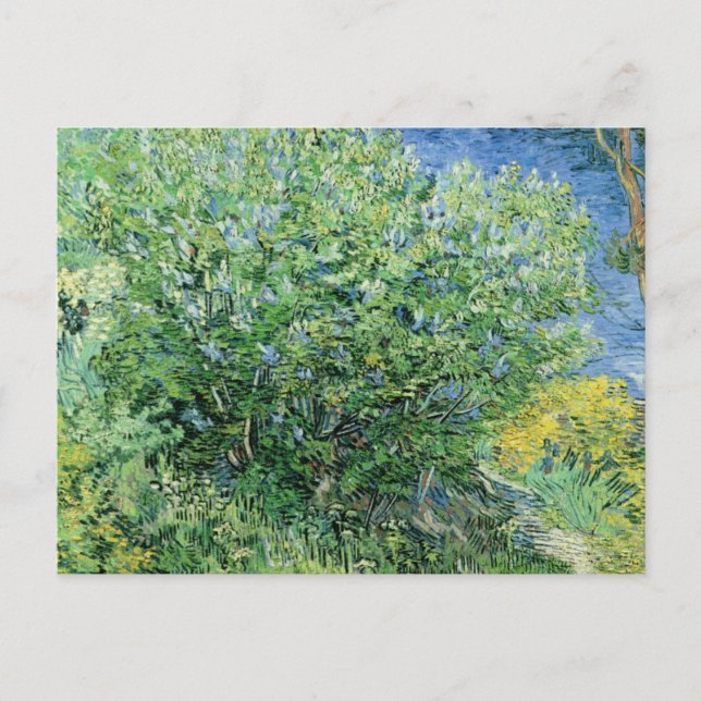 Carte Postale Vincent Van Gogh - Lilacs (Devant)