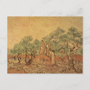 Carte Postale Vincent van Gogh L'olivier, 1889