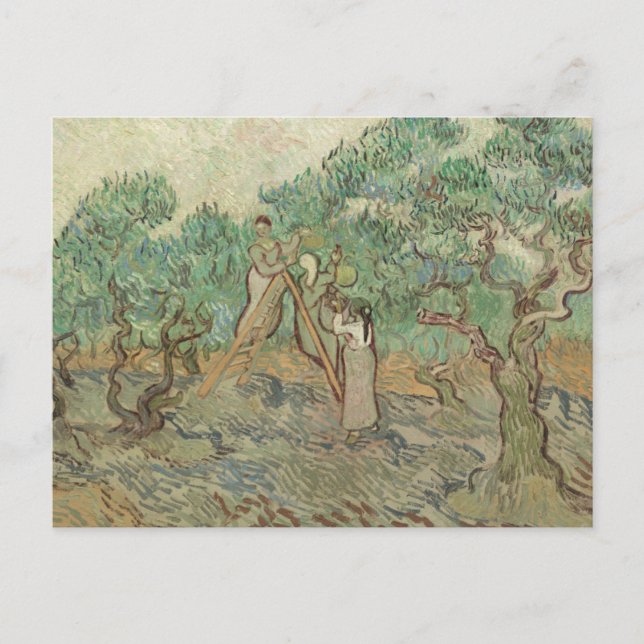 Carte Postale Vincent Van Gogh | L'Orchard Olivier (Devant)