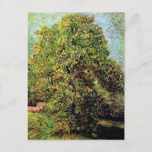 Carte Postale Vincent Van Gogh - Marronnier en Fleurs
