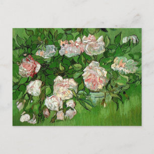 Carte Postale Vincent Van Gogh - Nature morte Roses roses Beaux-