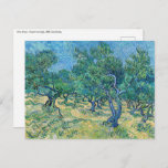 Carte Postale Vincent van Gogh - Olive Grove<br><div class="desc">Olive Grove - Vincent van Gogh,  1889,  Saint-Rémy</div>