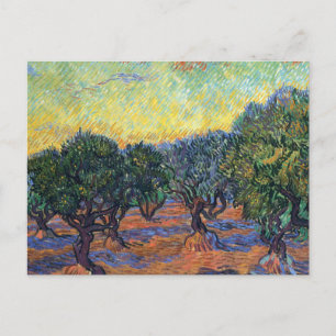 Carte Postale Vincent Van Gogh Olive Grove Impressionnisme Art