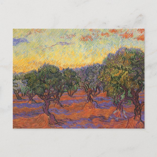 Carte Postale Vincent van Gogh - Olive Grove, Orange Sky (Devant)