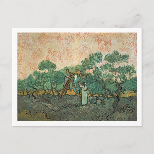 Carte Postale Vincent van Gogh | Olive Pickers, Saint-Remy (Devant)