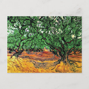 Carte Postale Vincent Van Gogh - Olive Trees Art
