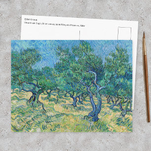 Carte Postale Vincent van Gogh - Oliveraie