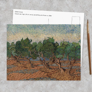 Carte Postale Vincent van Gogh - Oliveraie