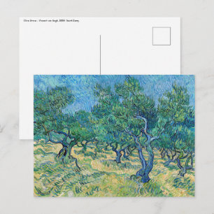 Carte Postale Vincent van Gogh - Oliveraie