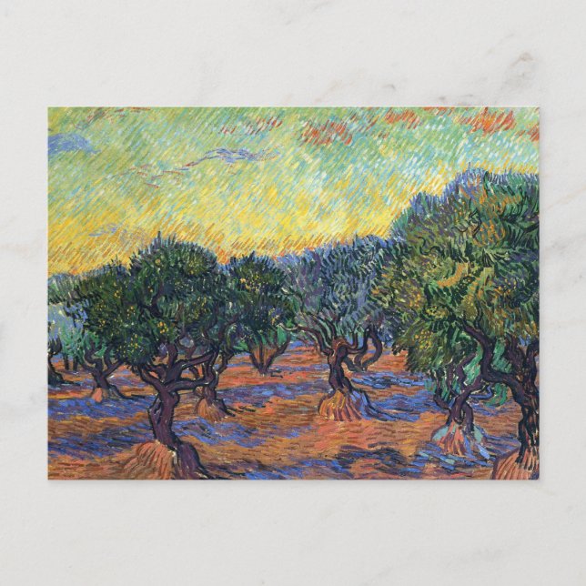 Carte Postale Vincent Van Gogh Oliveraie Impressionnisme Art (Devant)