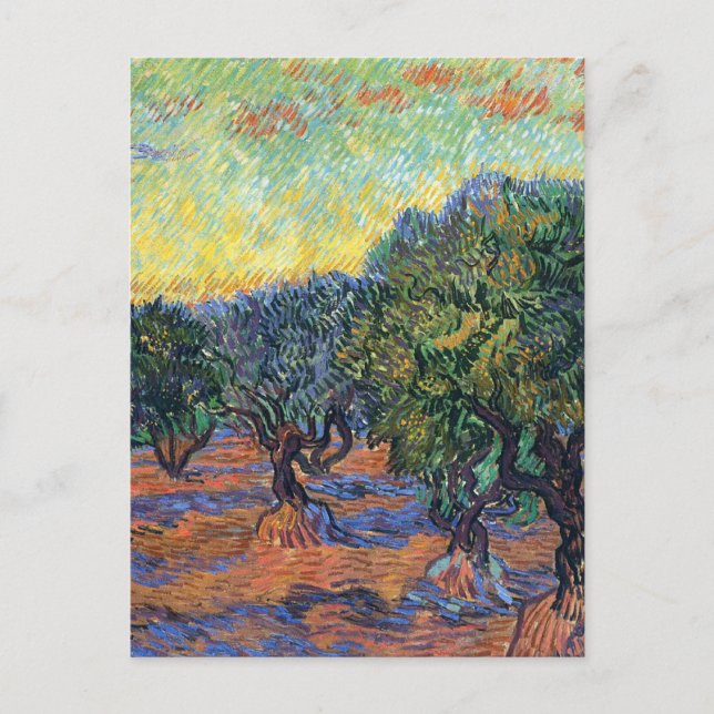 Carte Postale Vincent Van Gogh Oliveraie Impressionnisme Art (Devant)