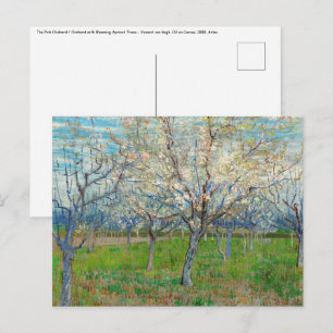 Carte Postale Vincent van Gogh - Orchard rose