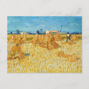 Carte Postale Vincent Van Gogh, Récolte de maïs en Provence