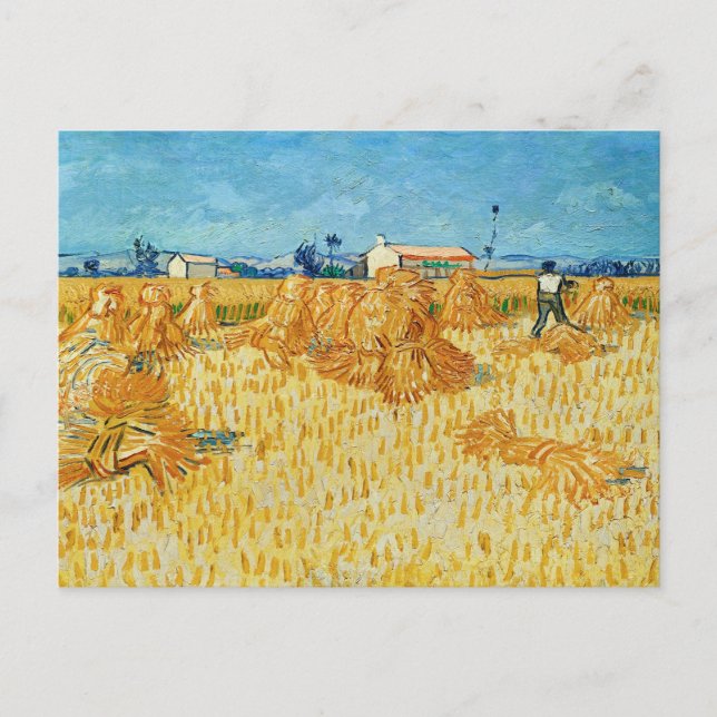 Carte Postale Vincent Van Gogh, Récolte de maïs en Provence (Devant)