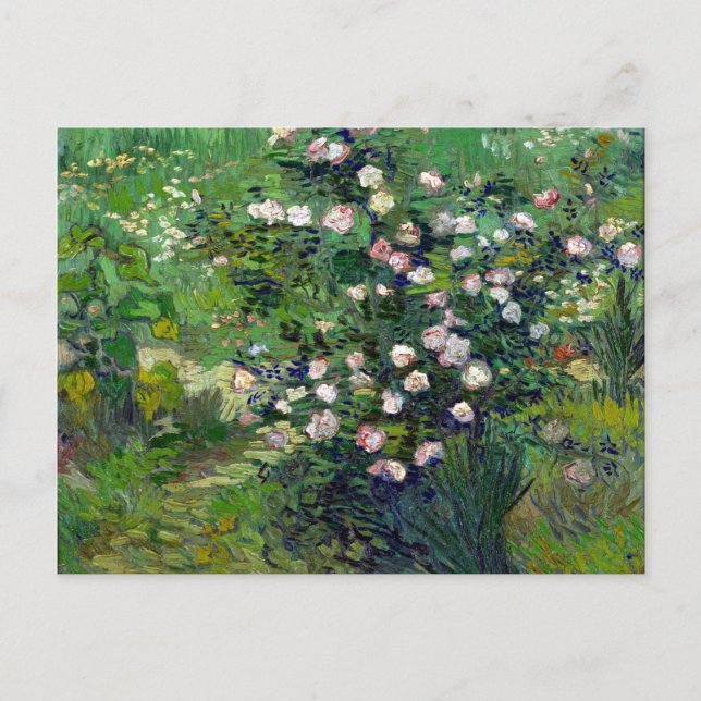 Carte Postale Vincent van Gogh Roses (Devant)