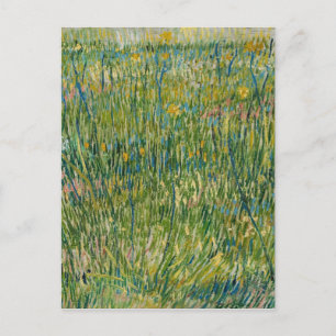 Carte Postale Vincent van Gogh - Tache d'herbe