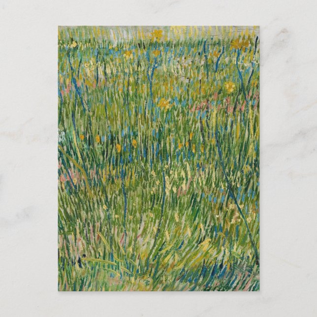 Carte Postale Vincent van Gogh - Tache d'herbe (Devant)