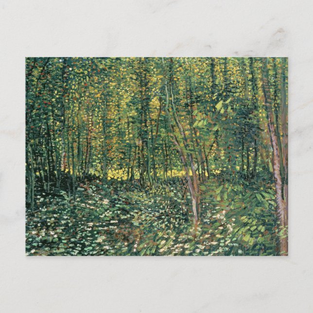 Carte Postale Vincent van Gogh | Trees and Undergrowth 1887 (Devant)