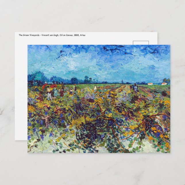 Carte Postale Vincent van Gogh - Vignoble vert (Devant / Derrière)