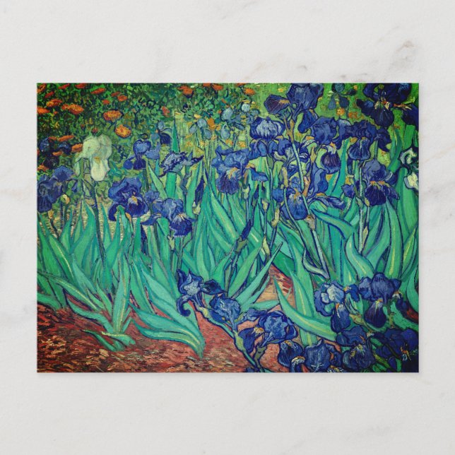Carte Postale Vincent van Gogh's Irises : (Devant)