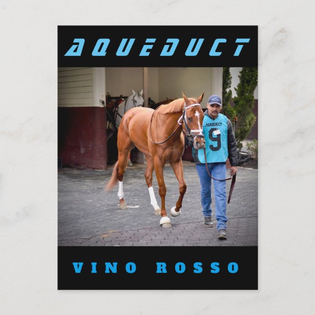 Carte Postale Vino Rosso - Paddock (Devant)