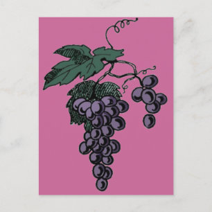 Carte postale Vins de raisin
