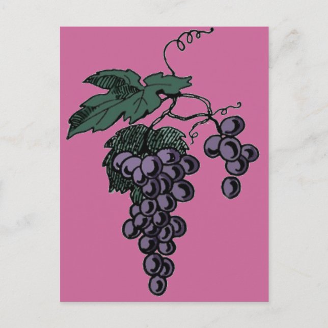 Carte postale Vins de raisin (Devant)