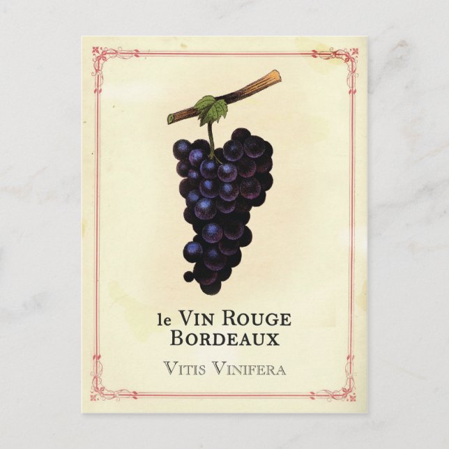 Carte Postale Vins rouges Bordeaux (Devant)
