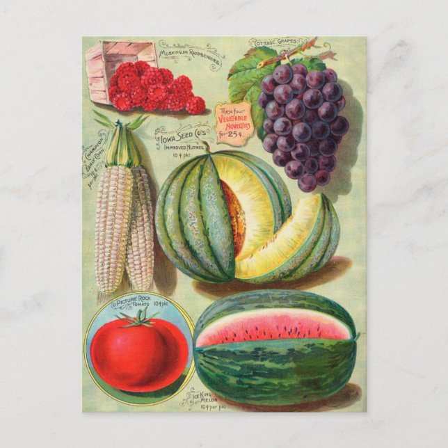 Carte postale vintage (Devant)