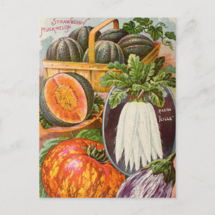 Carte postale vintage