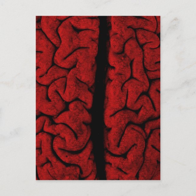 Carte postale vintage (Devant)