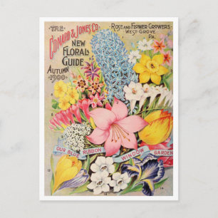 Carte postale vintage