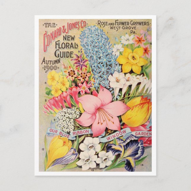 Carte postale vintage (Devant)