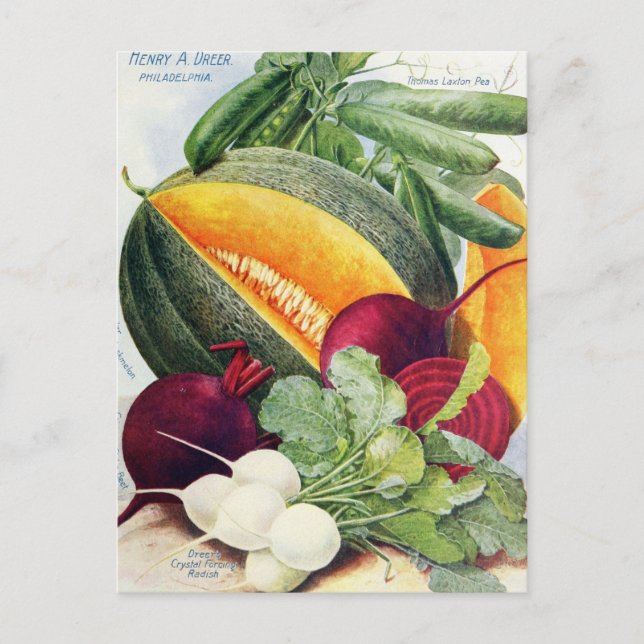 Carte postale vintage (Devant)