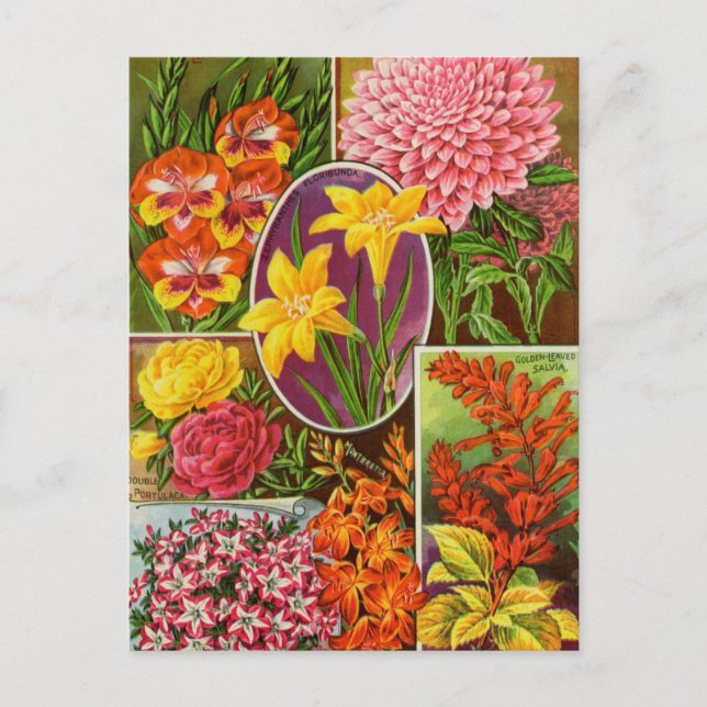 Carte postale vintage (Devant)