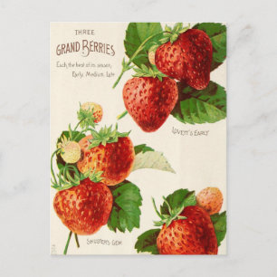 Carte postale vintage