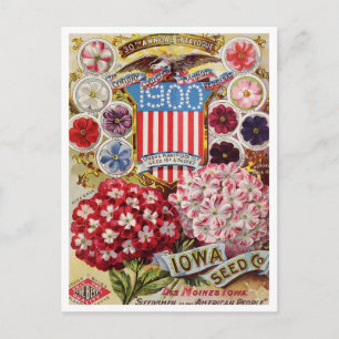 Carte postale vintage