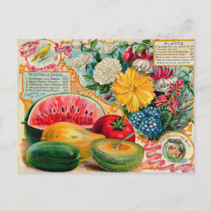 Carte postale vintage