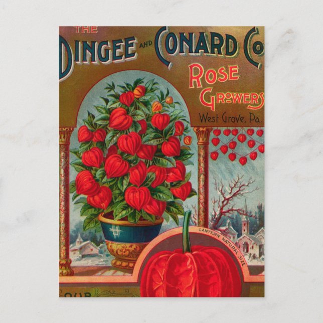 Carte postale vintage (Devant)