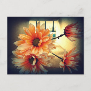 Carte postale vintage