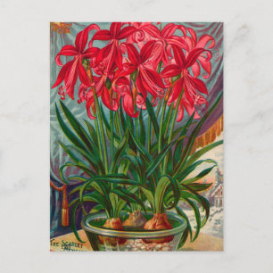 Carte postale vintage