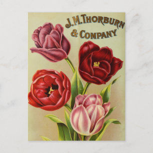 Carte postale vintage