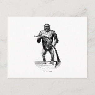 Carte Postale Vintage 1800s Gorilla - Apes et Gorillas Modèle