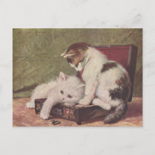 Carte Postale Vintage 1907 Illustration de chatons jouant