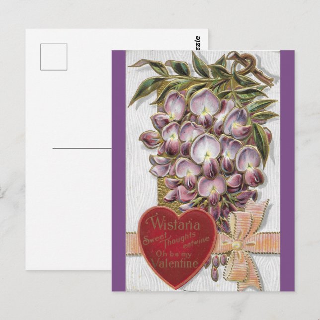 Carte Postale Vintage 1912 Purple Wistaria (Devant / Derrière)
