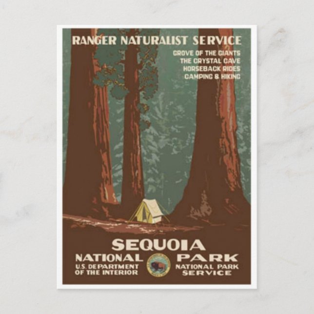 Carte postale Vintage Ad Poster (Devant)