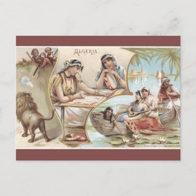 Carte Postale Vintage Algeria Postcard (Devant)