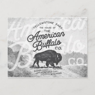 Carte Postale Vintage American Buffalo Montana Travel