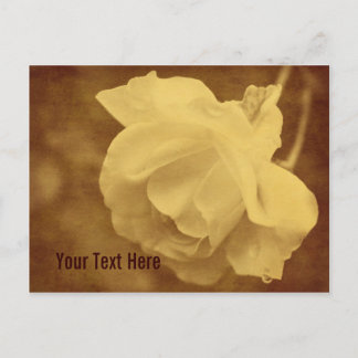 Carte postale Vintage ancienne Fleur Rose personna