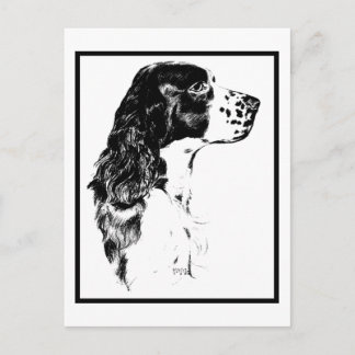Carte postale vintage Anglais Springer Spaniel